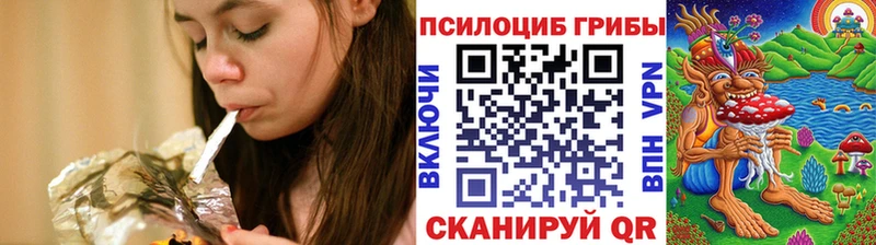 Псилоцибиновые грибы Psilocybe Заинск
