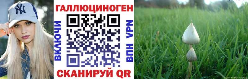 Псилоцибиновые грибы мухоморы  наркота  Заинск 