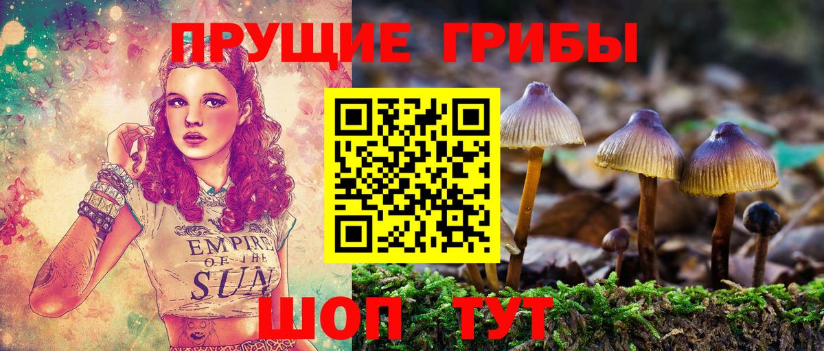 Галлюциногенные грибы мицелий Заинск