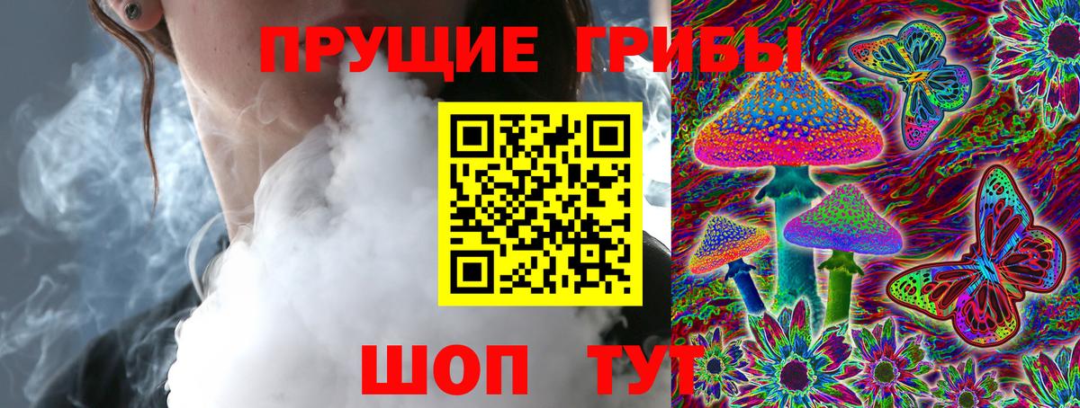 Заинск  Псилоцибиновые грибы ЛСД  Вход с VPN  даркнет сайт  Псилоцибиновые грибы мухоморы 